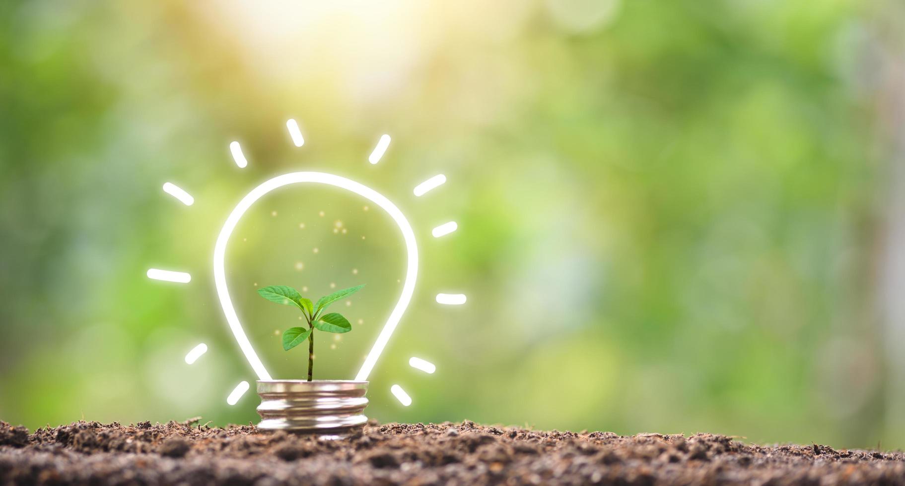 Imagem de turbinas de energia eólica